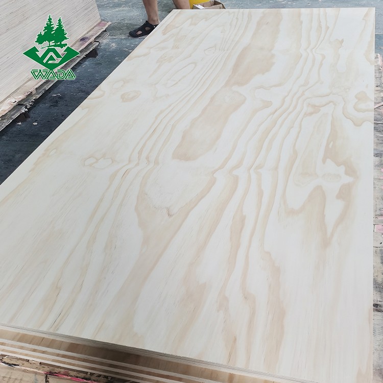 Pine Plywood For Construction Structure factory